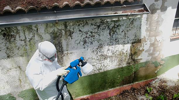 Trusted Mold Inspection service in Wharton, TX - Cheap Mold Removal